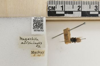 Media type: image;   Entomology 788762 Aspect: Labels